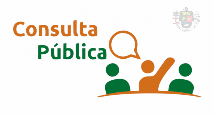 Consulta pública